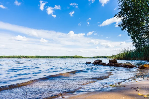 At the lake. Summer landscape. — Stock Photo, Image