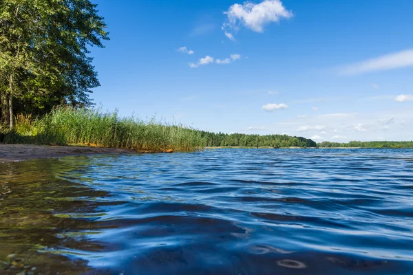 Aan het meer. Zomer landschap. — Stockfoto