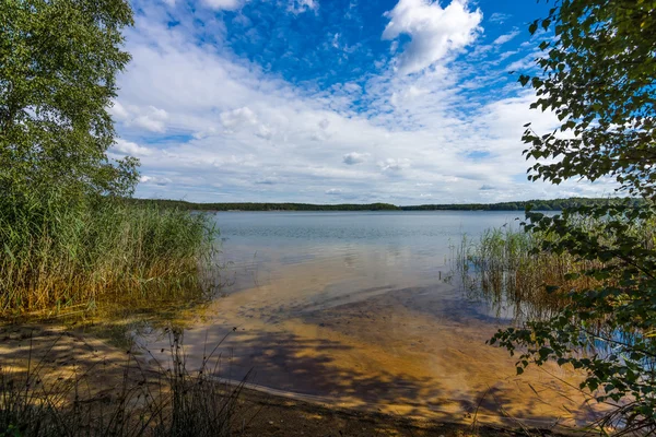 At the lake. Summer landscape. — Stock Photo, Image