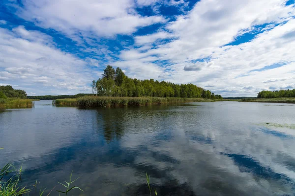 At the lake. Summer landscape. — Stock Photo, Image