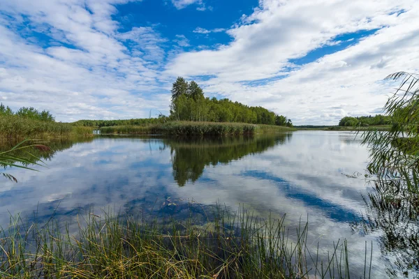 Au lac. Paysage d'été . — Photo