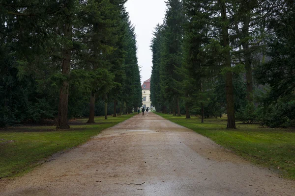 Παρκάρετε το παλάτι Charlottenburg σοκάκι στο βροχερό καιρό. — Φωτογραφία Αρχείου