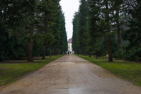 Zaparkovat palác Charlottenburg alej v deštivém počasí. — Stock fotografie