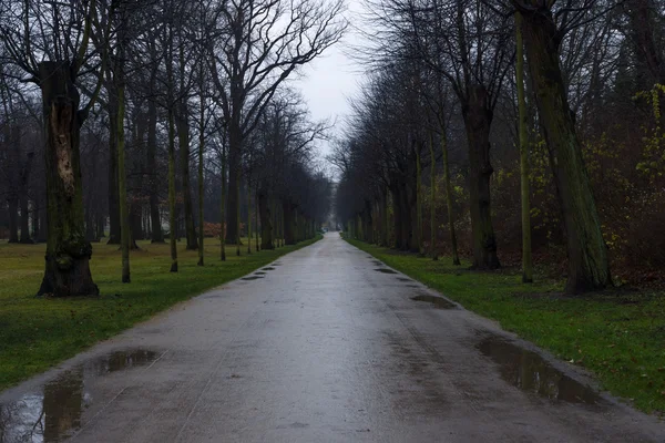 Park alley Charlottenburg paleis in de regen. — Stockfoto
