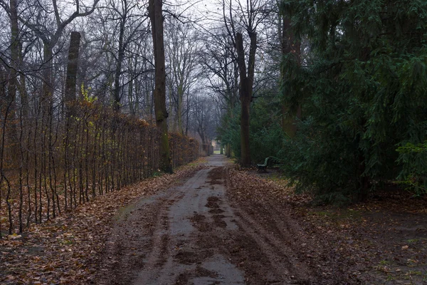 Park alley Charlottenburg Palace em tempo chuvoso . — Fotografia de Stock