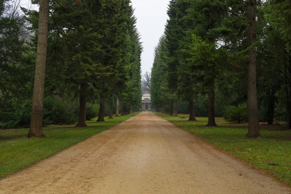 Zaparkovat palác Charlottenburg alej v deštivém počasí. — Stock fotografie