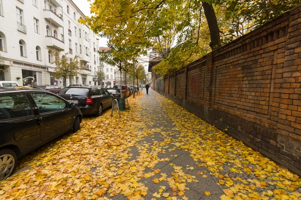 Late autumn in Berlin. — Stock Photo, Image