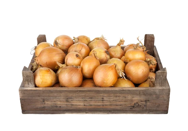 Onios en una caja de madera Imágenes de stock libres de derechos
