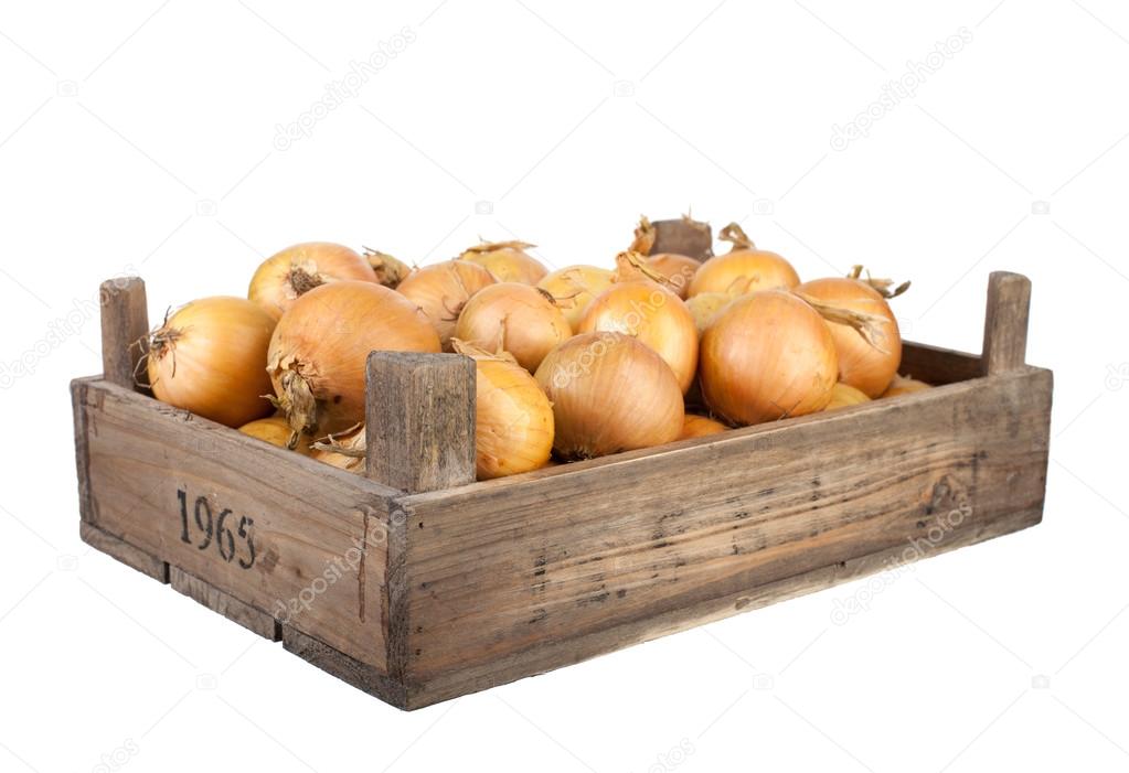 Onios in a wooden crate