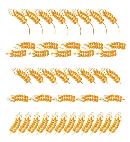 Set of wheat ears boards — Stock Vector