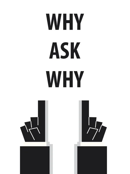 WHY ASK WHY typography vector illustration — Stock Vector
