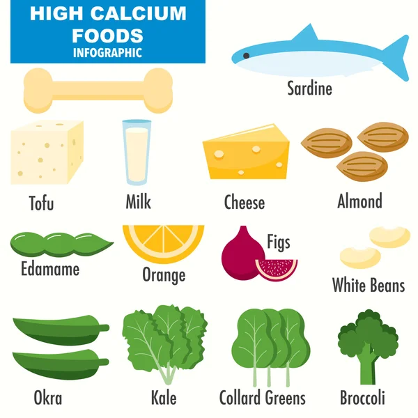 Hoge calcium levensmiddelen infographics — Stockvector