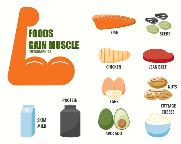 Potraviny získat svalů infografika Stock Ilustrace