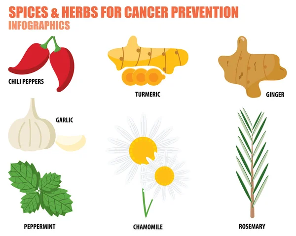 Kryddor och örter för cancerprevention — Stock vektor