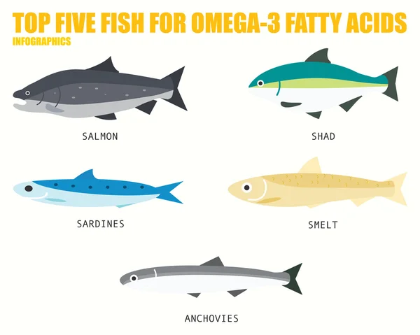 ТОП FIVE FISH для інфографіки Омега 3 FATTY ACIDS — стоковий вектор