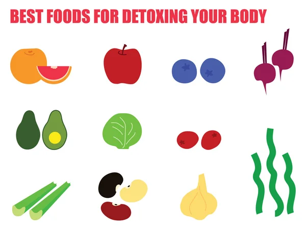 MEJORES ALIMENTOS PARA DETOXIR SU CUERPO — Vector de stock