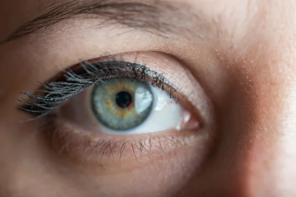 Menschliches Auge, Makro. — Stockfoto