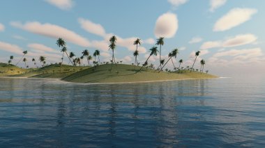 Palmiye ağaçları ıssız bir adada. 