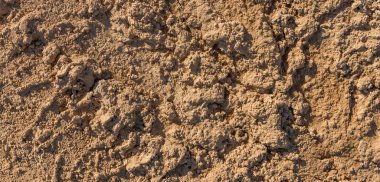 Doğal arka plan olarak çamur.