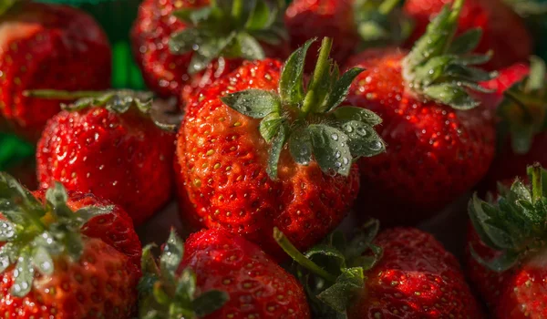 Natural looking strawberries with water drops. — Stock Photo, Image