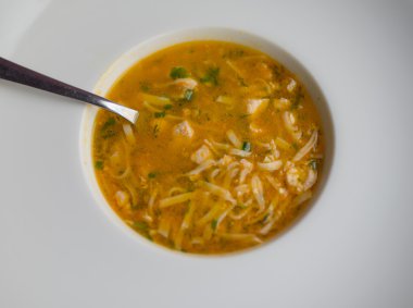 tavuk çorbası erişte ile.