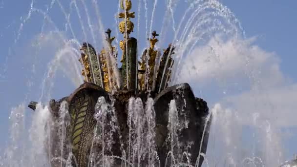 Fontana "Fiore di pietra ". — Video Stock