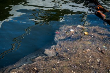 Petrol ve çöp kirliliği su. 