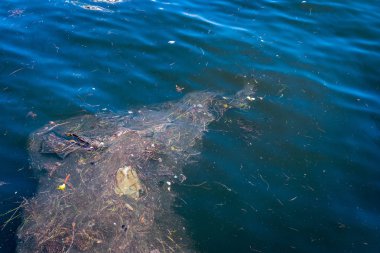 Petrol ve çöp kirliliği su. 