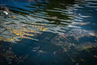 Petrol ve çöp kirliliği su. 