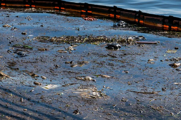 Verontreiniging van de olie- en vuilnis in het water. — Stockfoto