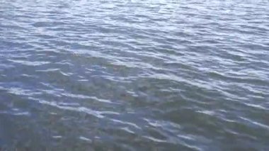  Dalgalar ve dalgalarla su yüzeyi.