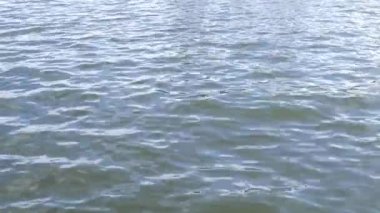  Dalgalar ve dalgalarla su yüzeyi.