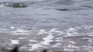  Sahil üzerinde çökmesini dalgalar.