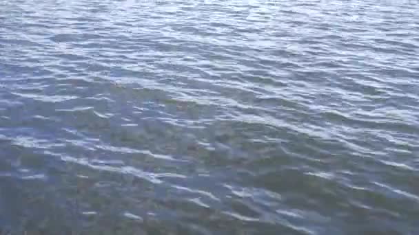 Superficie de agua con ondas y ondas. — Vídeo de stock
