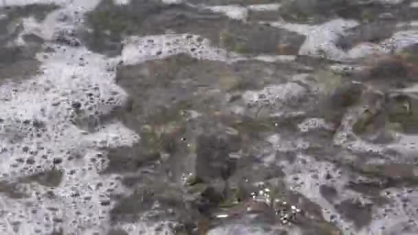  vagues s'écrasant sur le bord de la mer .