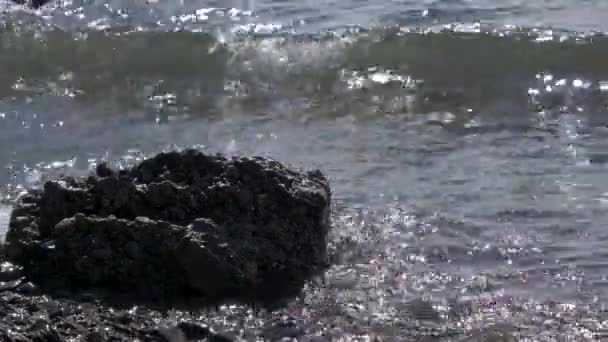 Waves crashing on seashore. — Stock Video