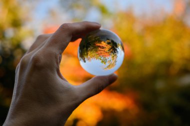 Sonbahar ormanında elde tutulan lensball. Sığ alan derinliğine sahip seçici odak.