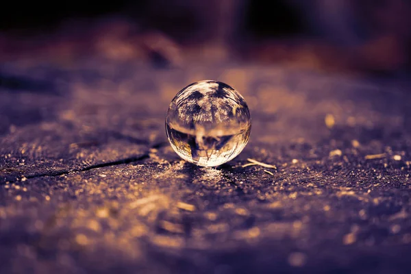 Lensball Posa Sul Tronco Albero Con Foresta Autunnale Sullo Sfondo — Foto Stock