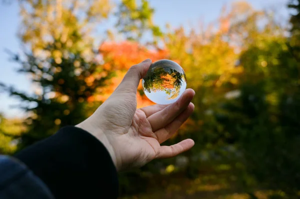 Handhållen Linsboll Höstskogen Selektivt Fokus Med Kort Skärpedjup — Stockfoto