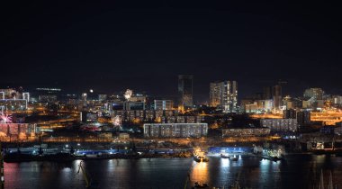 Gece şehrin üzerinde renkli havai fişekler.