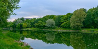 Yazın şehir parkında. Orman ve nehir.