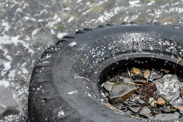 Old Tire Seashore Pollution Nature — Stock Photo, Image