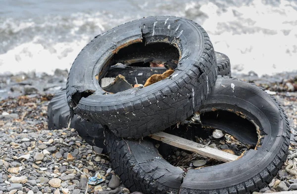 Old Tire Seashore Pollution Nature — Stock Photo, Image