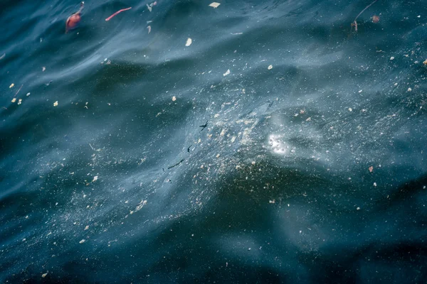 Pollution in the water. — Stock Photo, Image