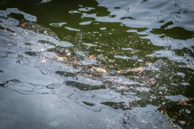 su kirliliği.