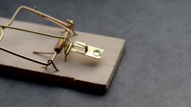 Bir fare kapanı testleri.