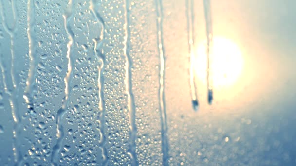 Water druppels op glas. Zonsondergang. — Stockvideo