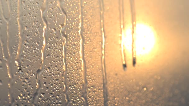 Water druppels op glas. Zonsondergang. — Stockvideo