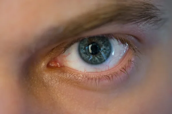 Blue man eye. — Stock Photo, Image