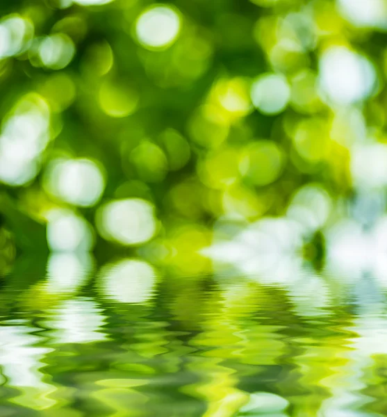 Green bokeh reflected in water. — Stock Photo, Image